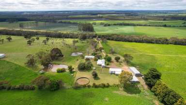 Farm For Sale - VIC - Heywood - 3304 - Two for the price of one – 10 acres  (Image 2)