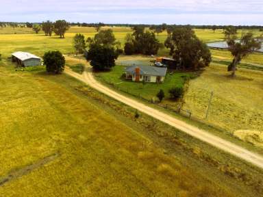 Farm For Sale - VIC - Yarroweyah - 3644 - Rural Investment Opportunity - 40 Ha (100 Acres)  (Image 2)