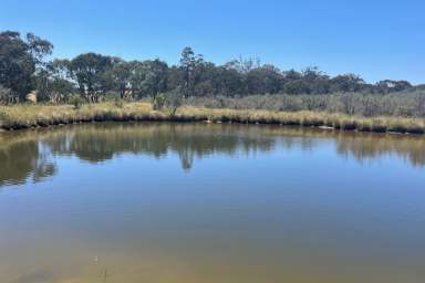 Farm For Sale - NSW - Boorowa - 2586 - Your own Rural Haven!
Lot 21 (part 2400 Rugby Road Boorowa)  (Image 2)