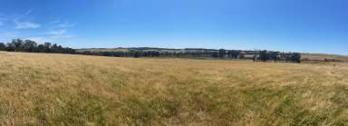 Farm For Sale - NSW - Boorowa - 2586 - Your own Rural Haven!
Lot 21 (part 2400 Rugby Road Boorowa)  (Image 2)