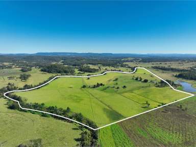 Farm Auction - NSW - Shannon Brook - 2470 - Emerald Downs - The Ideal Farm  (Image 2)