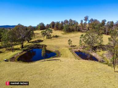 Farm For Sale - NSW - Cobargo - 2550 - A Country Sized Home on 7ha  - Close to Cobargo  (Image 2)