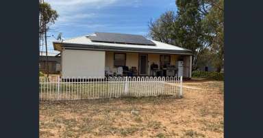 Farm For Sale - SA - Kimba - 5641 - Cropping & Grazing Opportunity  (Image 2)