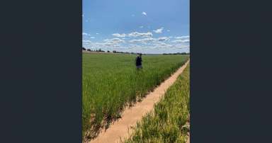 Farm For Sale - SA - Kimba - 5641 - Cropping & Grazing Opportunity  (Image 2)