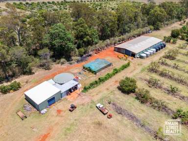 Farm For Sale - QLD - Blackbutt - 4314 - Discover Your Rural Dream: Thriving Avocado Farm  (Image 2)