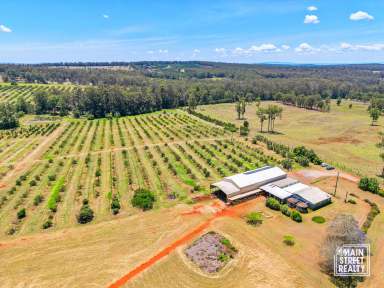 Farm For Sale - QLD - Blackbutt - 4314 - Discover Your Rural Dream: Thriving Avocado Farm  (Image 2)