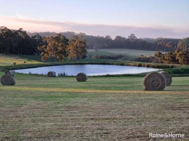 Farm For Sale - WA - Scotsdale - 6333 - Ridgeview  (Image 2)