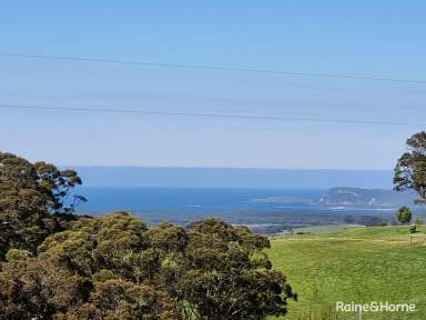 Farm For Sale - WA - Scotsdale - 6333 - Ridgeview  (Image 2)