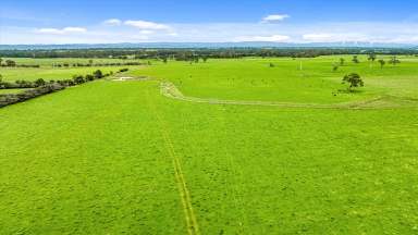 Farm For Sale - VIC - Glengarry - 3854 - Glengarry River frontage  (Image 2)