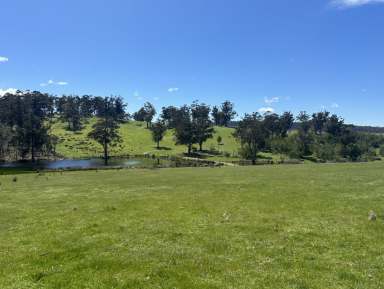 Farm For Sale - TAS - Buckland - 7190 - Reliable grazing property with irrigation development potential  (Image 2)