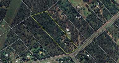 Farm For Sale - QLD - Millstream - 4888 - 4 Bedroom Colonial Home on Acreage  (Image 2)