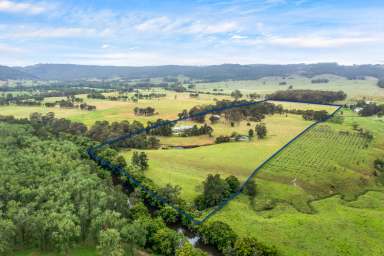 Farm For Sale - NSW - Clarence Town - 2321 - 'Castlewood'  (Image 2)