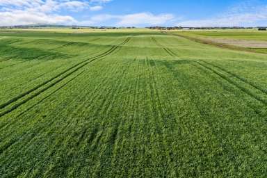 Farm For Sale - VIC - Dundonnell - 3271 - QUALITY VERSATILE CENTRAL SOUTH WESTERN DISTRICT PROPERTY  (Image 2)