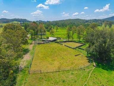 Farm For Sale - QLD - Neusa Vale - 4570 - NOOSA HINTERLAND, LIFESTYLE + INCOME  (Image 2)