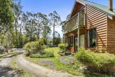 Farm For Sale - TAS - Sandfly - 7150 - Riverside cottage on 5 acres  (Image 2)