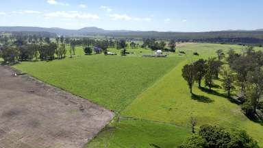 Farm For Sale - NSW - Winegrove - 2460 - 'Apple Tree Flat' a landmark property on the Clarence River at Winegrove  (Image 2)