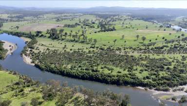 Farm For Sale - NSW - Winegrove - 2460 - 'Apple Tree Flat' a landmark property on the Clarence River at Winegrove  (Image 2)