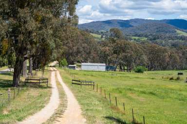 Farm For Sale - VIC - Allans Flat - 3691 - Quiet Private Rural Lifestyle On The Yackandandah Creek  (Image 2)