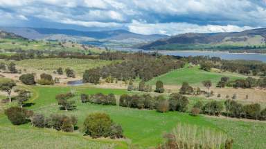 Farm For Sale - NSW - Wymah - 2640 - HIGH RAINFALL, DOUBLE INCOME PROPERTY  (Image 2)