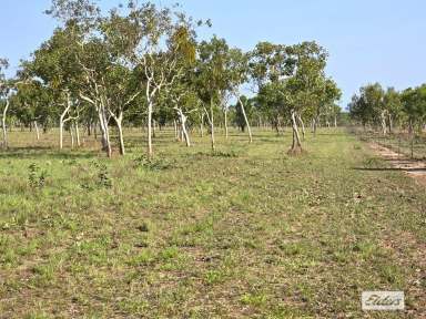 Farm For Sale - NT - Adelaide River - 0846 - TERRITORY STUNNER - Live in the best the Top End has to offer  (Image 2)