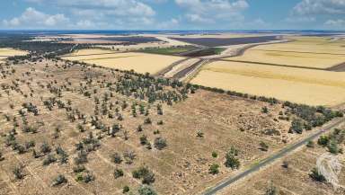 Farm For Sale - NSW - Wee Waa - 2388 - 26.61-HA RURAL LAND PARCEL OFFERS AMPLE SPACE AND FLEXIBILITY  (Image 2)