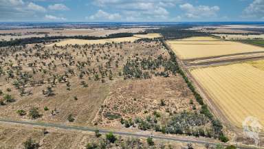 Farm For Sale - NSW - Wee Waa - 2388 - 26.61-HA RURAL LAND PARCEL OFFERS AMPLE SPACE AND FLEXIBILITY  (Image 2)