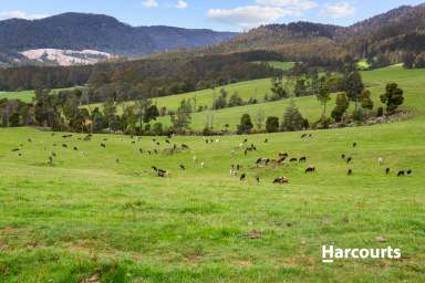 Farm For Sale - TAS - Trenah - 7263 - Superbly Maintained & Versatile Dairy/Grazing/Cropping Property  (Image 2)