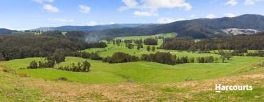 Farm For Sale - TAS - Trenah - 7263 - Superbly Maintained & Versatile Dairy/Grazing/Cropping Property  (Image 2)