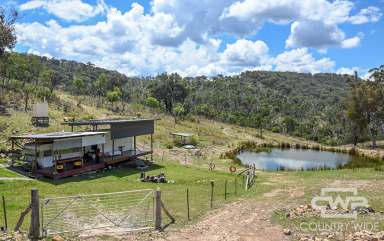 Farm For Sale - NSW - Emmaville - 2371 - Off Grid Lifestyle Property  (Image 2)