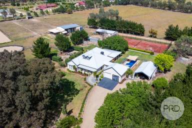 Farm For Sale - NSW - Springvale - 2650 - Endless Opportunities  (Image 2)