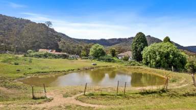 Farm For Sale - NSW - Hartley - 2790 - “Blue Hills” – Hartley, NSW  (Image 2)