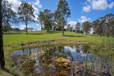 Farm Auction - NSW - Fosterton - 2420 - Mountain Views from Karloo Stud  (Image 2)