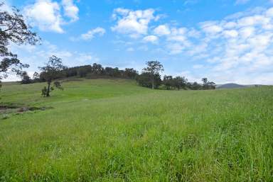 Farm Auction - NSW - Fosterton - 2420 - Mountain Views from Karloo Stud  (Image 2)