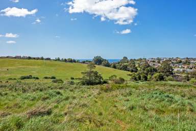 Farm For Sale - TAS - Shorewell Park - 7320 - Exceptional Development Opportunity  (Image 2)