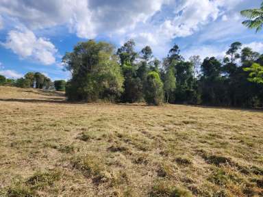 Farm For Sale - QLD - Blackbutt - 4314 - 6.6 Acres - Exceptional Acreage Opportunity  (Image 2)