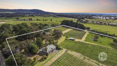 Farm For Sale - VIC - Dromana - 3936 - Restore or Reinvent Former Winery On Nearly 12 Acres  (Image 2)