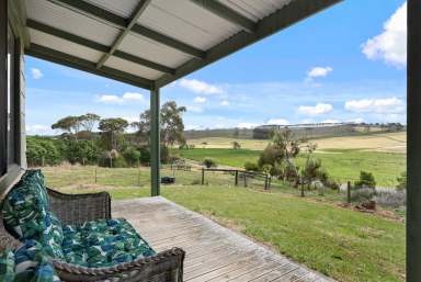 Farm Tender - VIC - Port Campbell - 3269 - "Blackwood Park" - Hinterland Acreage  (Image 2)