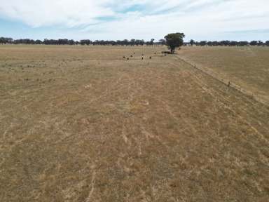 Farm For Sale - VIC - Norong - 3682 - Lifestyle & Productivity  (Image 2)