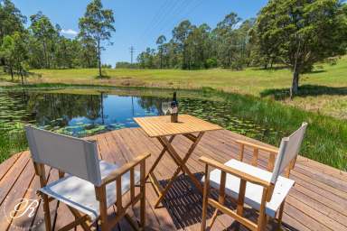 Farm For Sale - NSW - Girvan - 2425 - Hedgehill Farm  (Image 2)