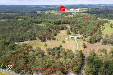 Farm For Sale - NSW - Girvan - 2425 - Hedgehill Farm  (Image 2)