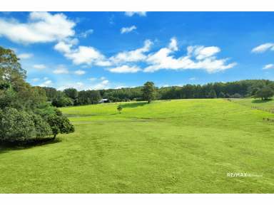 Farm For Sale - QLD - Curramore - 4552 - OVER 2 ACRES - BLUE CHIP LAND IN COUNTRY SETTING - NOW PRICED TO SELL!  (Image 2)