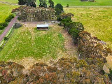 Farm Auction - VIC - Warrayure - 3301 - AUCTION Wednesday December 18th at 2 pm. 284.75 Ac – 115.23 Ha across 2 non-contingent lots  (Image 2)