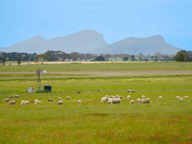 Farm Auction - VIC - Warrayure - 3301 - AUCTION Wednesday December 18th at 2 pm. 284.75 Ac – 115.23 Ha across 2 non-contingent lots  (Image 2)