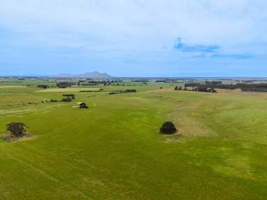 Farm For Sale - VIC - Warrayure - 3301 - Mixed Farming opportunity 162.25 Ac - 65.66 Ha  (Image 2)