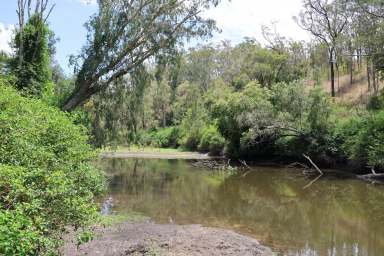 Farm Auction - QLD - Boynedale - 4680 - Will be Sold Before Christmas  (Image 2)