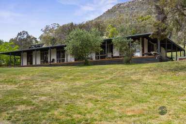 Farm Auction - VIC - Tintaldra - 3708 - Spacious 4-Bedroom Mudbrick Home with Stunning Views  (Image 2)