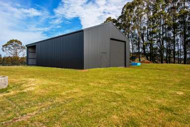 Farm For Sale - TAS - Calder - 7325 - Over 50 Acre Block With New Massive Shed!  (Image 2)