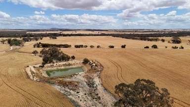 Farm For Sale - WA - Caljie - 6302 - Prime Cropping, Livestock, Lifestyle Land on the Mortlock River 55.92ha(138ac)  (Image 2)