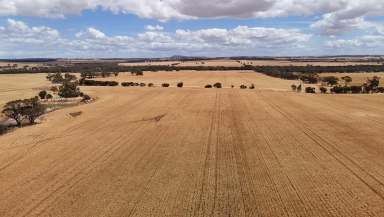 Farm For Sale - WA - Caljie - 6302 - Prime Cropping, Livestock, Lifestyle Land on the Mortlock River 55.92ha(138ac)  (Image 2)