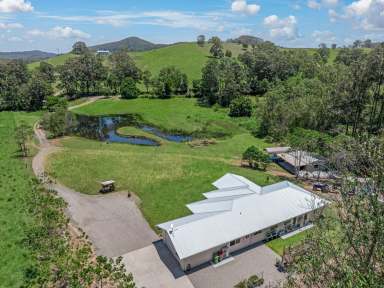 Farm Sold - QLD - Wilsons Pocket - 4570 - Modern Countryside Living on 5 Acres in Wilsons Pocket  (Image 2)